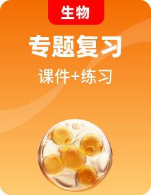 全套新高考生物總復(fù)習(xí)專題練習(xí)+階段檢測課件