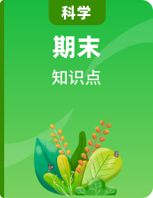 【期末單元復(fù)習(xí)】小學(xué)科學(xué)蘇教版單元知識點總結(jié)二年級下冊