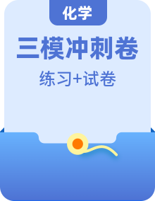 2024年九年級中考化學(xué)三模沖刺訓(xùn)練試卷