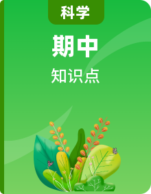 【期中考前必備】教科版小學(xué)科學(xué)六年級上冊  期中單元知識點回顧