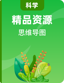 【思維導(dǎo)圖】教科版科學(xué)六年級(jí)下冊(cè)-單元思維導(dǎo)圖