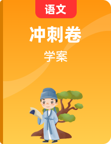 2023年小升初部編版語文閱讀理解專項(xiàng)沖刺學(xué)案（含答案）