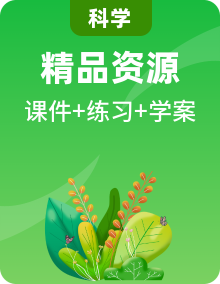 全套教科版六年級科學(xué)下冊習(xí)題課件+課時(shí)學(xué)案
