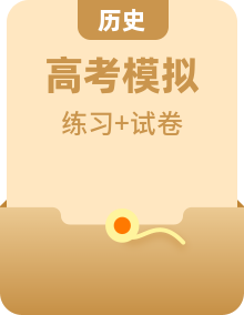 新高考歷史模擬練習卷匯編（含答案）