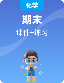 全套人教版九年級(jí)化學(xué)下冊(cè)期末提分練課件