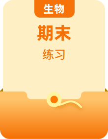 人教版生物七年級下冊期末復(fù)習(xí)章節(jié)知識點(diǎn)匯總及練習(xí)（含解析）