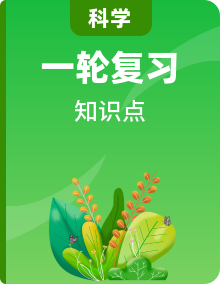 化學(xué)部分知識點講解+中考題——浙江省中考科學(xué)一輪復(fù)習(xí)化學(xué)部分