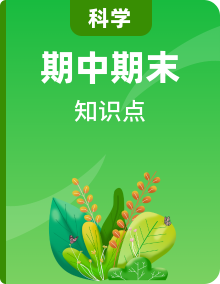 2021年科學(xué)教科版（2017）四年級下冊期末期中單元全冊知識(shí)點(diǎn)歸納復(fù)習(xí)