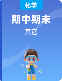 2022-2023學年高一化學上學期期中期末考點大串講（人教版2019必修第一冊）