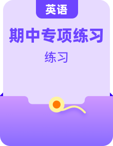 期中综合专项练习—  人教PEP版英语六年级上册