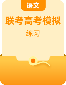 2024年高考語文“九省聯(lián)考”新題型專練（九省通用）