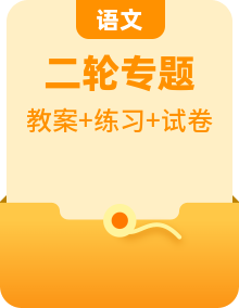 2024年中考語(yǔ)文 記敘文閱讀專講專練 教案及試卷（原卷+答案及解釋）