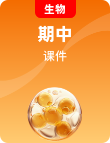 2022-2023學(xué)年人教版生物八年級(jí)下冊(cè)單元復(fù)習(xí)課件