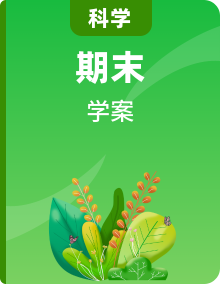 【培優(yōu)導(dǎo)學(xué)案】浙教版科學(xué)九年級(jí)全冊(cè)：培優(yōu)同步導(dǎo)學(xué)案（含解析）