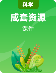 教科版（2024）科學(xué)一年級(jí)下冊(cè)同步教學(xué)課件