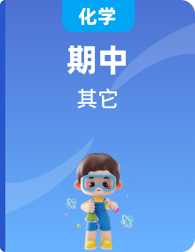 2024-2025學(xué)年高一化學(xué)下學(xué)期期中考點(diǎn)整理（人教版2019必修第二冊）