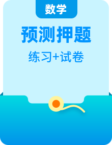 2025中考數(shù)學(xué)-題型歸納講練(通用版)精品熱點(diǎn)題型(原卷版+解析)
