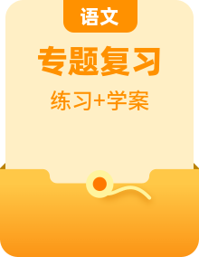 小升初語文專題復(fù)習(xí)：答題技巧學(xué)案與練習(xí)題等匯編