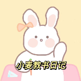 小麦教书日记