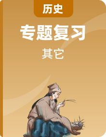 2-025年中考歷史專題復(fù)習(xí)合輯