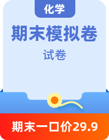 2024-2025學年高一【化學】下學期期末模擬考試