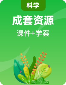 教科版科學(xué)三年級(jí)上學(xué)案課件(含答案)