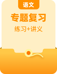 高考语文精品复习【讲义】【练习】专题复习