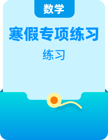 初中数学七年级寒假自学专题练习