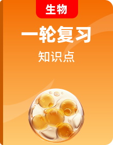 2026年高考生物一轮复习：人教版知识点考点复习资料汇编
