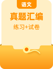 中考语文 5 年（2021-2025）真题汇编练习 + 答案（专题版）