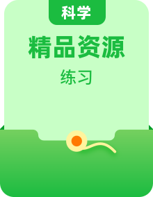 粤教粤科版（2024）科学六年级下学期 同步练习（教师版+学生版）
