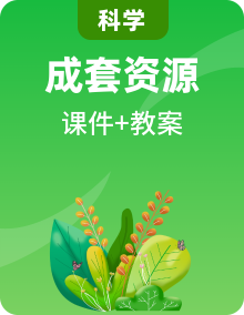 冀人版小学科学一年级上册（新教材）全册课件 + 教学设计