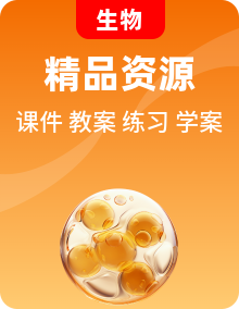 人教版生物七年级下册（2024）课件PPT+教案+分层练习+学案全套