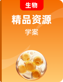 苏教版生物七年级下册（2024）学案全册