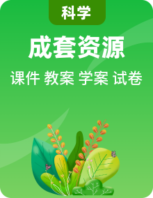 教科版2024小学科学一年级上册课件+教案+学案+试题