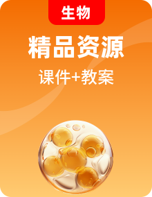 人教版初中生物七年级下册课件+教案