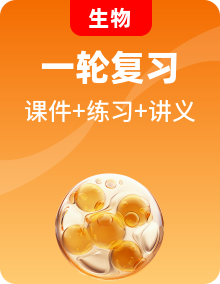 中考生物一轮复习课件+讲义精讲精练