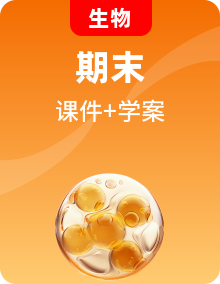 【期末复习】2025-2026学年七年级上初中生物期末复习课件与学案（人教版2024）