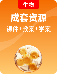 2025新教材人教版生物八年级下册全册课件+教案+导学案