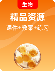 人教版生物八年级下册（2024）PPT课件+教案+同步分层练习（含答案）
