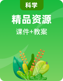 大象版新教材二年级下册小学科学全册课件+教案