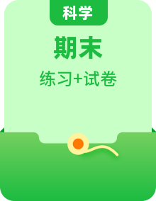 四年级上册科学期末实验探究专项（冀人版・提升训练 + 检测卷）