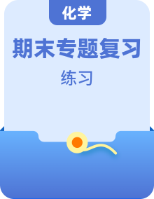 2026年九年级化学（人教版）上学期（期末复习专项练习）