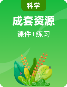 小学科学新教科版三年级下册 作业课件（2026春）（放映显示答案）
