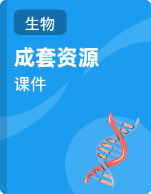 人教版生物（2024）七年级下册配套课件