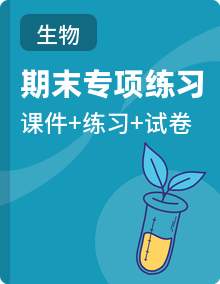 高二上期测试及期末生物复习课件+知识清单+周测+专项训练（含答案）