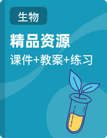 人教版生物八年级下册（2024）PPT课件+教案+同步分层练习（含答案）