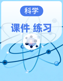 教科版（2017）科学六年级下册习题课件