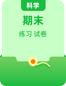 四年级上册科学期末实验探究专项（冀人版・提升训练 + 检测卷）