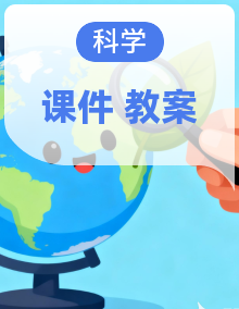 冀人版2024一年级科学上册同步课件+教学设计（冀人版·2024秋）